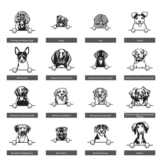 Cuadro Decorativo de Raza Canina en MDF